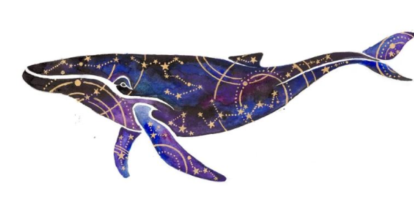 Celestial Whale Watercolour